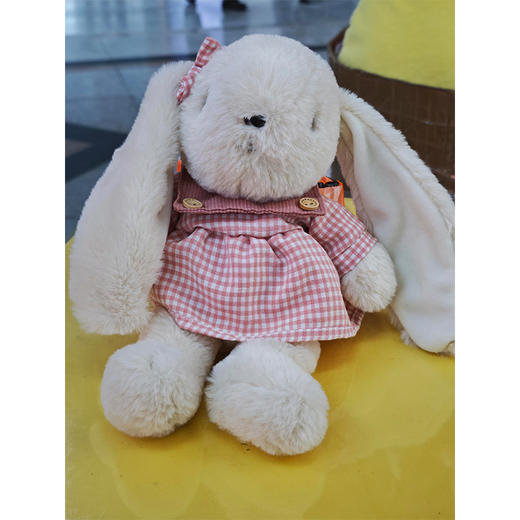 25cm安妮兔玩偶公仔毛绒玩具生日礼物毛绒公仔-纪念日百货门店同款167843579 商品图3