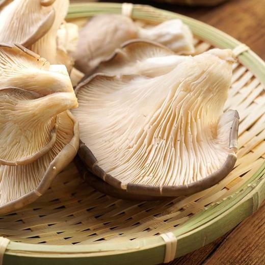 平菇 300g 商品图1