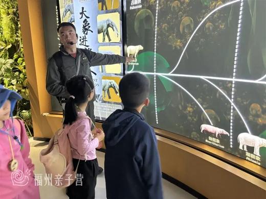 26年西双版纳【定制亲子冬令营】适合5-65周岁的亲子家庭参加~ 商品图5