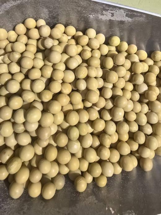 黄豆红豆黑豆绿豆 商品图6
