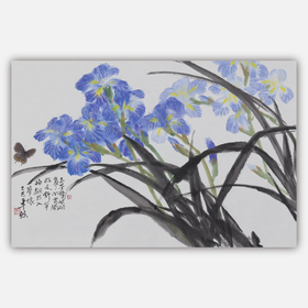 卓愿《鸢尾花》45.5x70CM 手绘纸本宣纸国画作品