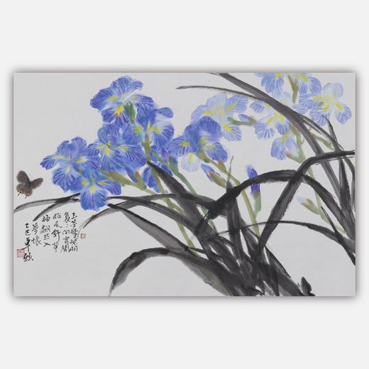 卓愿《鸢尾花》45.5x70CM 手绘纸本宣纸国画作品 商品图0