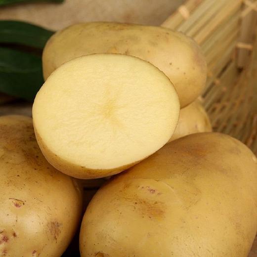 土豆 500g 商品图3