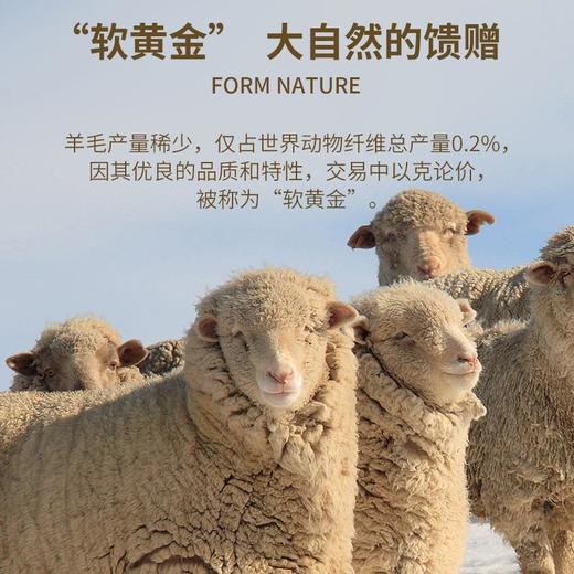 【10A抗菌羊毛桑蚕丝男士翻领长袖POLO衫】秋冬季休闲聚热保暖卫衣男 商品图2