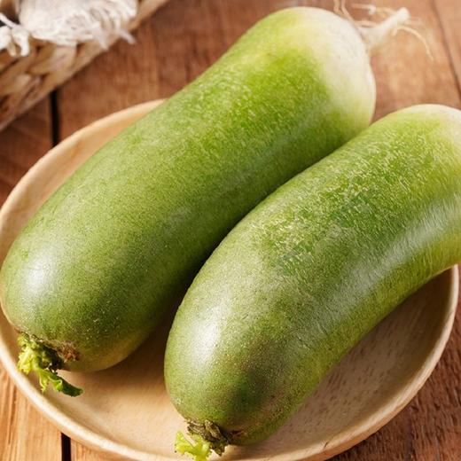 沙窝萝卜 1根 商品图1