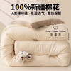 【A类超柔水洗棉面料❗️吸湿透气蓄热保暖】a类纯棉花被子冬被棉被冬季加厚保暖被芯宿舍学生单人春秋被棉絮A。ja 商品缩略图0