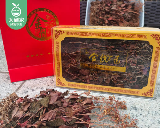 南靖大叶红霞金线莲（土培，全开花）/1盒（约50g）生产日期：25年11月补单专用 商品图4
