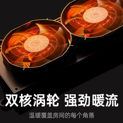 THOMSON法国汤姆逊壁炉石墨烯取暖器H5 商品图5