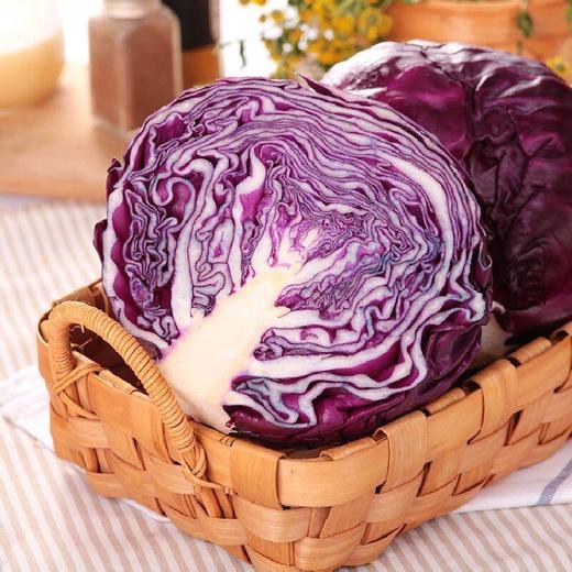 紫甘蓝 1颗（次日达/配送到家） 商品图4