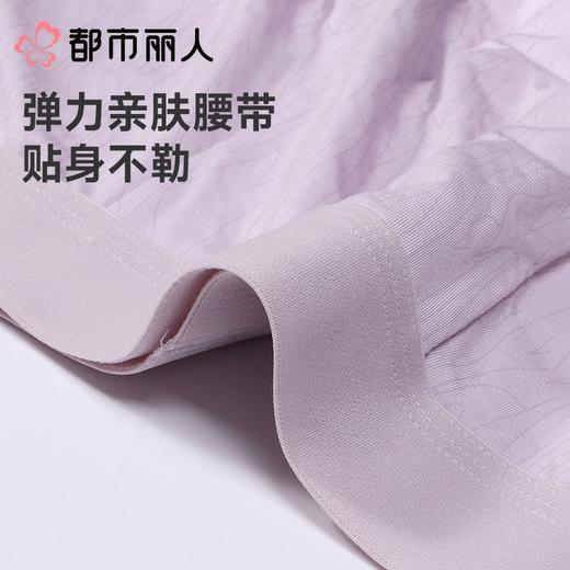 都市丽人男士内裤60S木莱尔平角裤明筋人棉平角FKCC05 商品图4