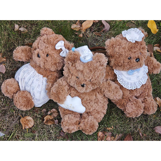 25cm小号云朵小熊毛绒公仔-纪念日百货门店同款167796442 商品图1