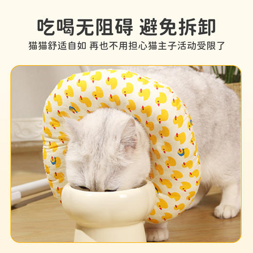 伊丽莎白圈 猫咪棉脖套犬猫通用防抓猫狗项圈 商品图2
