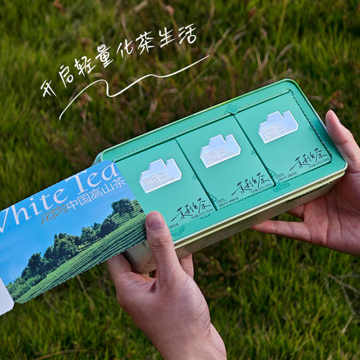 泡朵茉莉白茶茉莉花紧压调味茶袋装便携礼盒 商品图2