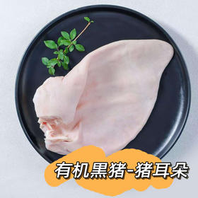 有机黑猪*猪耳朵---【内蒙古天然山林牧场散养】