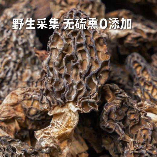 高原野生羊肚菌  50g*1罐 商品图1