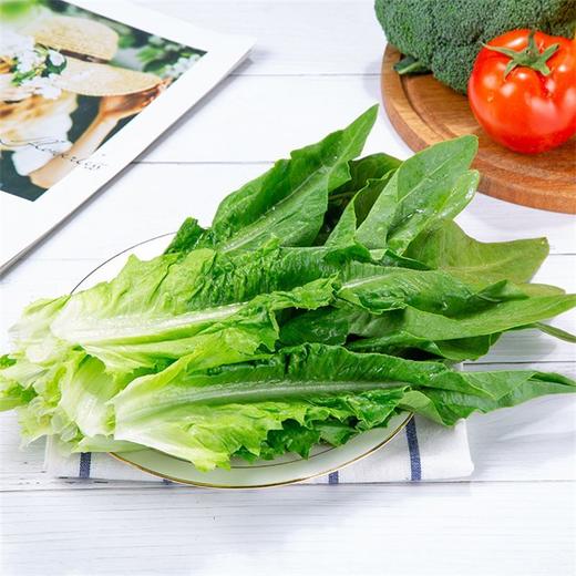 油麦菜 200g 商品图1