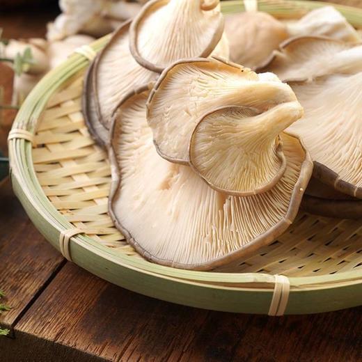 平菇 300g 商品图4