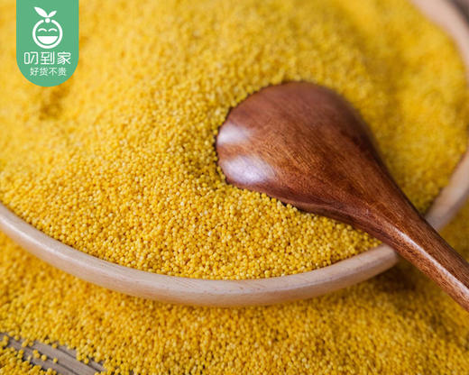 探寻初味有机敖汉黄小米/1袋（1.8kg，自立袋锁鲜装） 商品图1