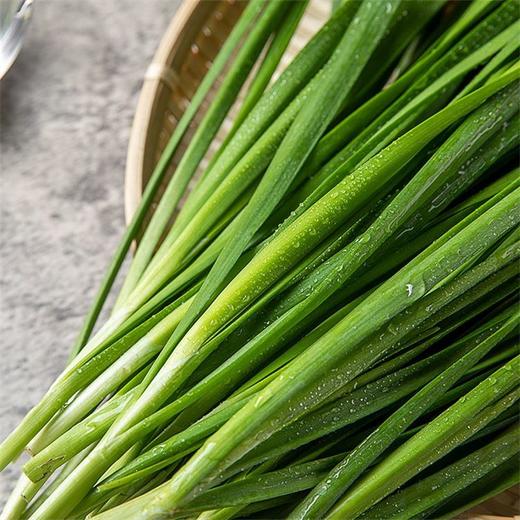韭菜 300g 商品图3