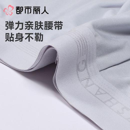 都市丽人男士内裤60S木莱尔平角裤明筋人棉平角FKCC03 商品图4