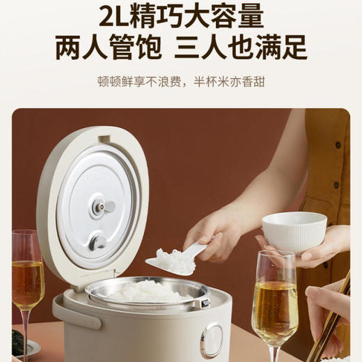 【快递】小熊不锈钢内胆2升电饭煲DFB-P20R2 商品图2