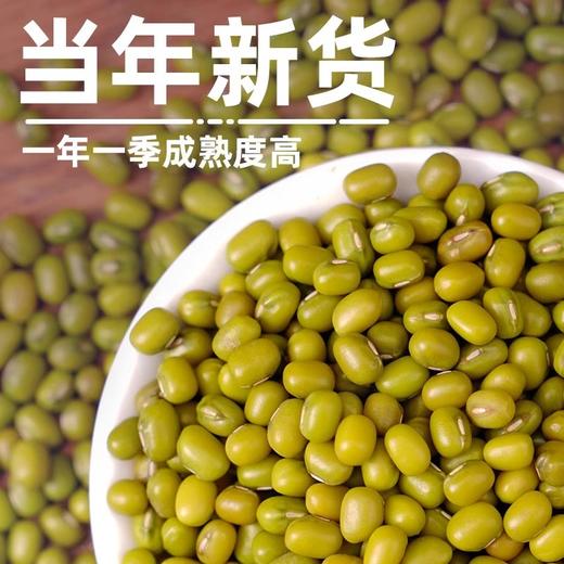 野三坡 优选绿豆 1kg*1罐 商品图1