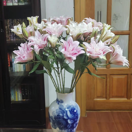 重瓣百合·伊莎贝拉 商品图0