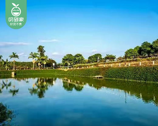 漳州长泰|福友生态农场木屋别墅3床房1间/1晚（周末不用补差）【叼生活】 商品图4