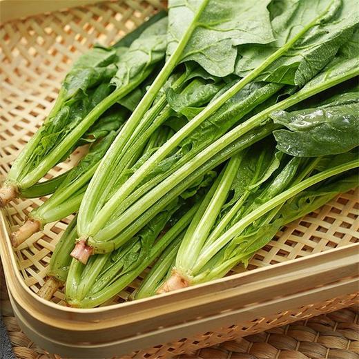 菠菜 250g 商品图4