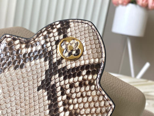 秋冬特惠💰1600 渠道级LV te级LV 全套包装 N81258/M48865淡咖 本款 Capucines 迷你号手袋 商品图5