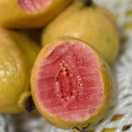 疯抢中！！现摘现发【中国台湾改良版·红心奶油芭乐】营养丰富 果肉软糯 柔嫩多汁 精美包装/礼盒装 商品图10