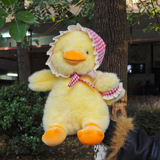 30cm小红帽鸭毛绒公仔玩具-纪念日百货门店同款167894093 商品图0