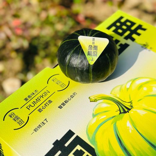 贝贝南瓜 |  中午小饭瓜伺候贝贝南瓜来啦，绵糯糯的带点粉，一点不噎人，回味绵香的小南瓜～ 商品图6