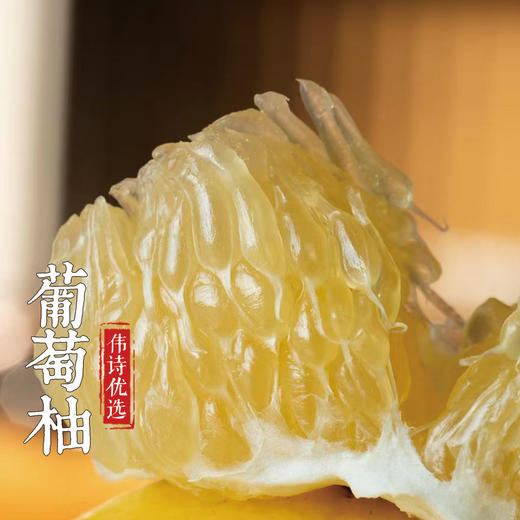 伟诗优选 | 葡萄柚 商品图0