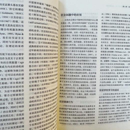 官网套装 社会心理学经典理论手册 第1-4卷 全4册  商品图4