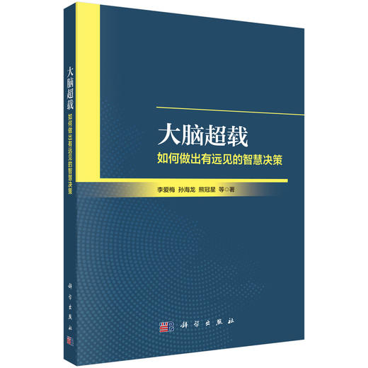 大脑超载：如何做出有远见的智慧决策 商品图0