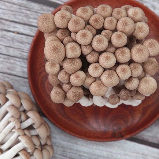 蟹味菇 150g 商品图2