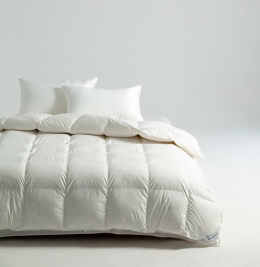 舒雅生活舒眠羽绒被面料,85%聚酯纤维,15%棉,填充,100%白鸭绒（绒子含量50%）（M1400g/L1600g)12040281/12040282 商品图0