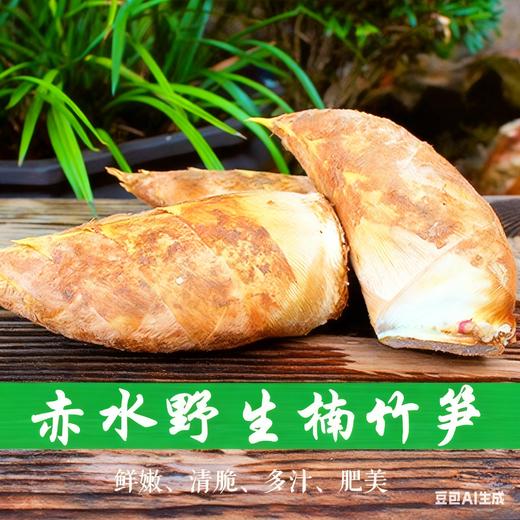 遵义赤水【冬笋】5斤装 竹乡野生楠竹笋  冬笋 新鲜 生态 美味 全国包邮 商品图0