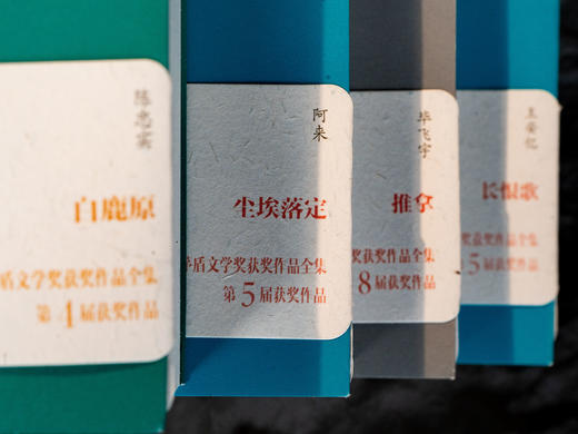 《茅盾文学奖经典作品集》（4册）| 中国当代文学之作，陈忠实、阿来、王安忆、毕飞宇，带你跨越时代的人生史诗 商品图6