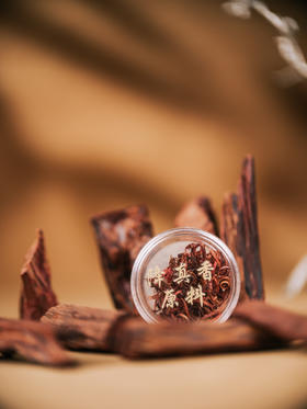 【降真香勾丝】海南降真香｜大梦香堂