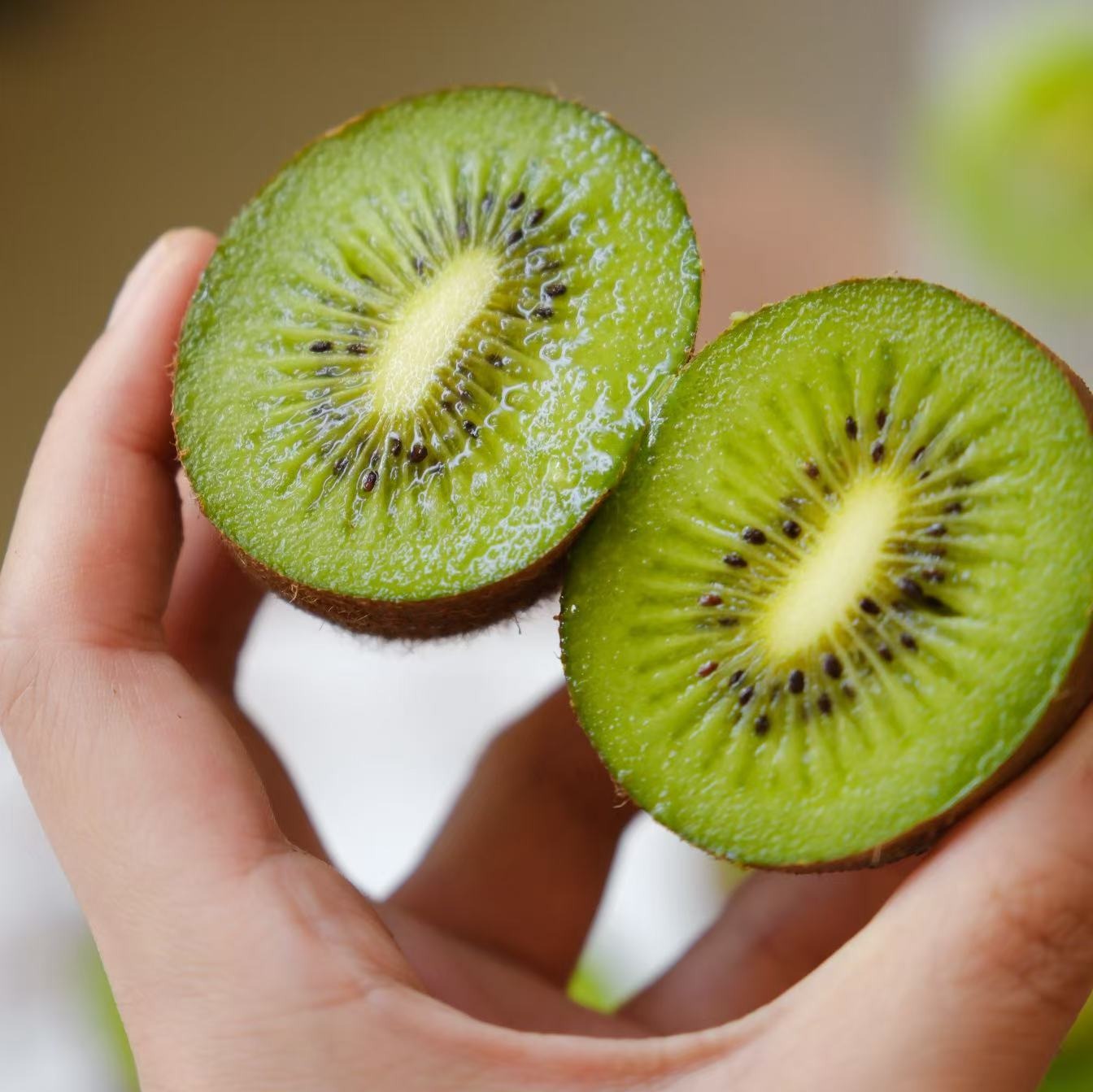 【即食瑞玉猕猴桃】无需等待，到手即食稀缺品种，比翠香还要高端的绿心猕猴桃，陕西周至树熟品质，到手削皮即食，爆甜无酸，果肉醇厚入口化渣，产地直发，都是新鲜下树的果子，新鲜，嫩甜~