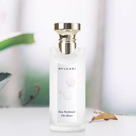 BVLGARI 宝格丽 白茶淡香 150ml (25年新版) 商品图2
