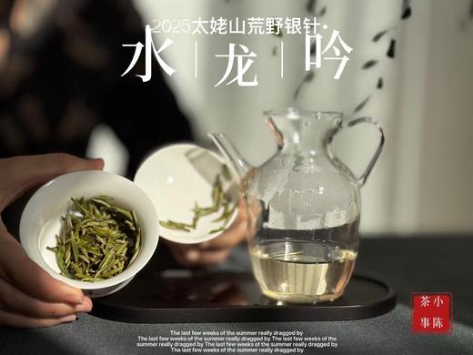 【家有好茶】2025荒野银针《水龙吟》，盛开在初春暖花中的碧水云天，野劲十足，野性十足！ 商品图10