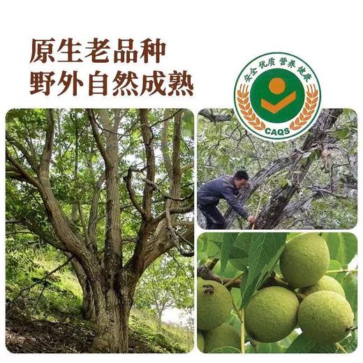【2025年新果上市】云南老树有机核桃 原色原香 营养丰富 3斤礼盒装 自吃送人皆可 商品图1