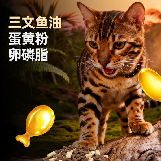 严选 | 富益生碗宴全价猫粮鲜肉冻干成幼猫全阶段通用鸡肉蔓越莓冻干粮 商品图4