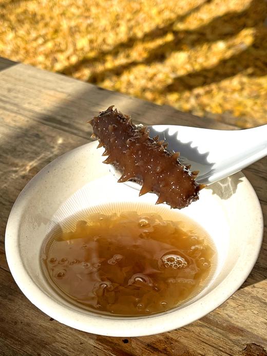 物本源鲜炖辽参 100克/瓶 商品图1