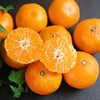 【涌泉蜜橘】 甘润清香 皮薄多汁 新鲜现摘不齁甜 秋冬解腻神器 4.5-5斤（16-24个） 商品缩略图4