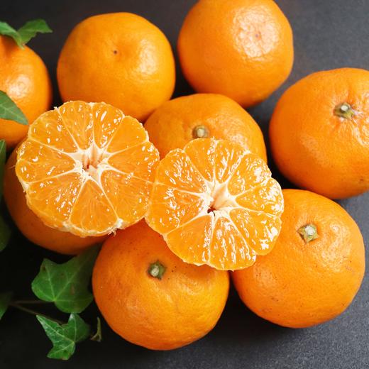 【涌泉蜜橘】 甘润清香 皮薄多汁 新鲜现摘不齁甜 秋冬解腻神器 4.5-5斤（16-24个） 商品图4