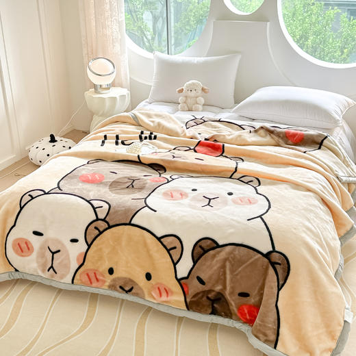 【广东省省被】双层加厚拉舍尔毛毯 柔软亲肤蓄热保暖 商品图1